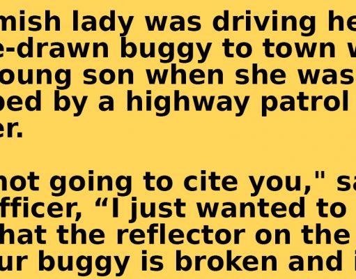 An Amish lady driving her horse