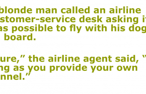 A Blonde man wanted to fly with his dog on board.