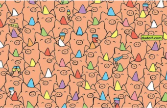 Can YOU spot the three pigs without party hats?