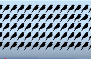 How Good Are Your Eyes? 94% Fail To Solve This In 10s!