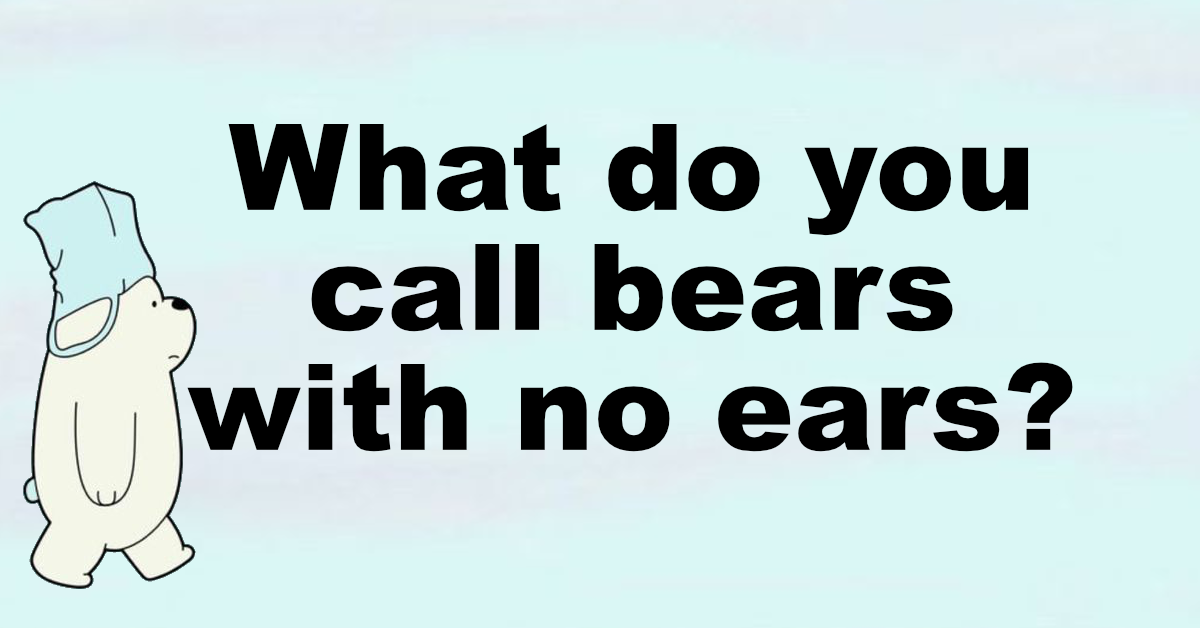Bear jokes and riddles Can you solve them?