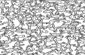 Find the hidden Rhino