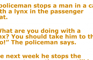 A policeman stops a man in a car with a lynx in the passenger seat.