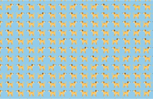 Can you find the cheeky cat hidden among the dogs?