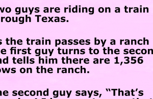 Two guys are riding on a train through Texas.