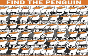 Find the tiny penguin!