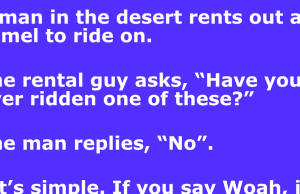 A man in the desert rents out a camel to ride on.