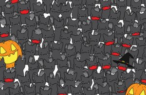 Find the little black cat is hiding among all the bats in less than 15 seconds