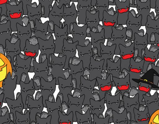 Find the little black cat is hiding among all the bats in less than 15 seconds
