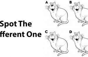 Spot The Different One.