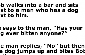 Bob walks into a bar and see a Dog.