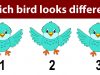 Today’s Puzzle: Which Bird looks different?