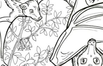 Find Toothbrush, Canoe, Paper Clip, Shoe and Megaphone.