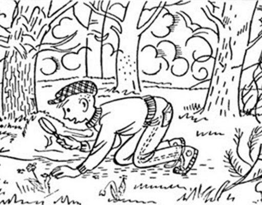 Find The Hidden Dog in This Picture.