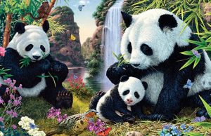 How Many Pandas Do You See In This Picture?