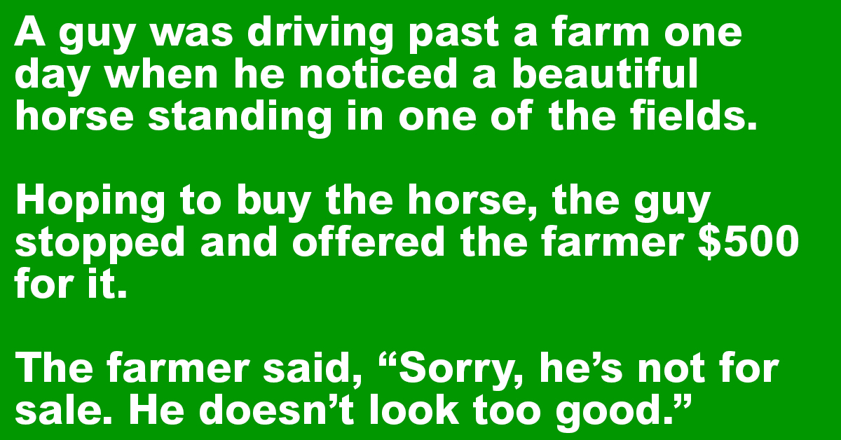 A Guy Buys A Horse From A Farm.