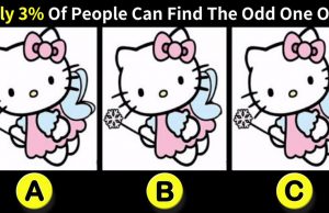 Only 3% Of People Can Find The Odd One Out!