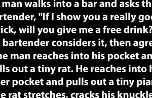 A Tiny Rat and a Small Bullfrog.