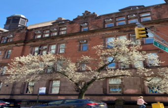 can you spot two birds hiding in the city picture?