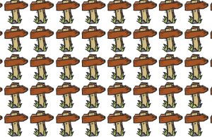 Find The Different One.