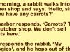 A Rabbit Walks Into A Butcher Shop.