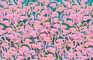 Very few people can get it right – but can you spot the ballerina among the flamingos?