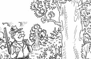 Find Two Hidden Bunnies.