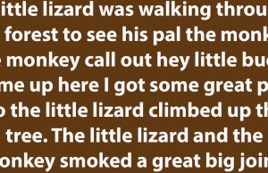 A little lizard was walking through the forest.