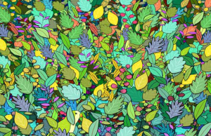 Find the parrot among these leaves!