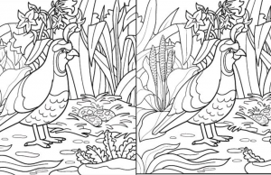 Try your best to find the differences in less than 2 minutes!