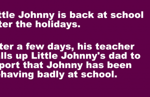 Little Johnny is back at school after the holidays
