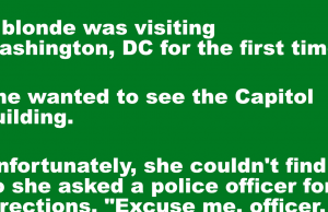A blonde wanted to see the Capitol building