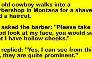 An Old Cowboy Walks Into A Barbershop In Montana