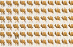 Test Your Attentiveness! Can You Spot The Odd One Out