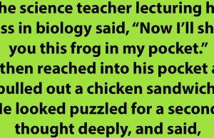 The science teacher lecturing his class in biology.