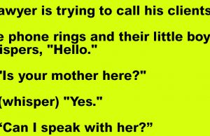 A Naughty Little Boy and A Lawyer