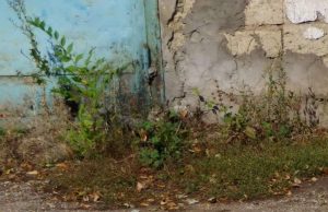 There is a sneaky cat hidden in this picture. How fast can you find it?