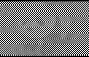 Spot The Hidden Animal In This Picture!