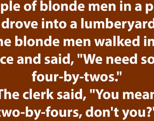 A couple of blonde men in a pickup truck drove into a lumberyard.