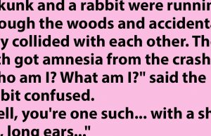 A Skunk and a Rabbit.