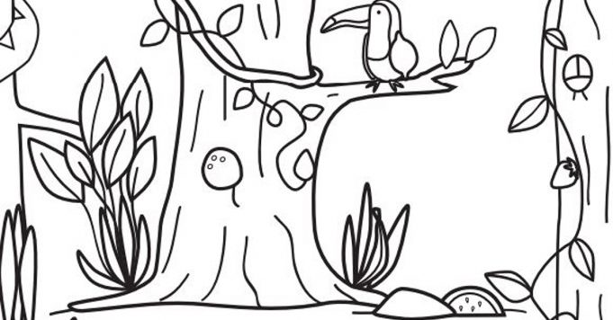 Can you find the 6 hidden fruits in this picture?