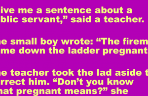 A teacher asked a student to give her sentence about a public servant