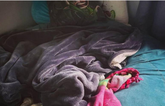 Can you find the dog hidden in this brainteaser?