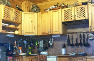 Only the smartest will find the cat hiding in this kitchen