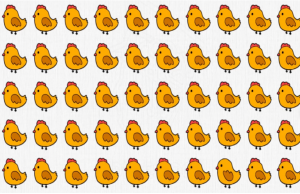 Can you Find The Odd One Out in less than 2 minutes?