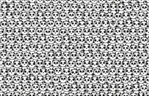 Almost everybody gets it wrong on the first try: Can you spot the penguin among the pandas?