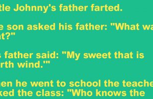 Little Johnny’s father farted.