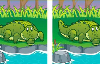 Can you spot all differences between 2 pictures?