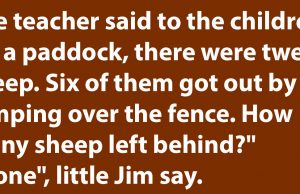 How many sheep left behind?