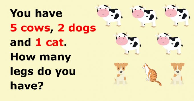 How many legs do you have?